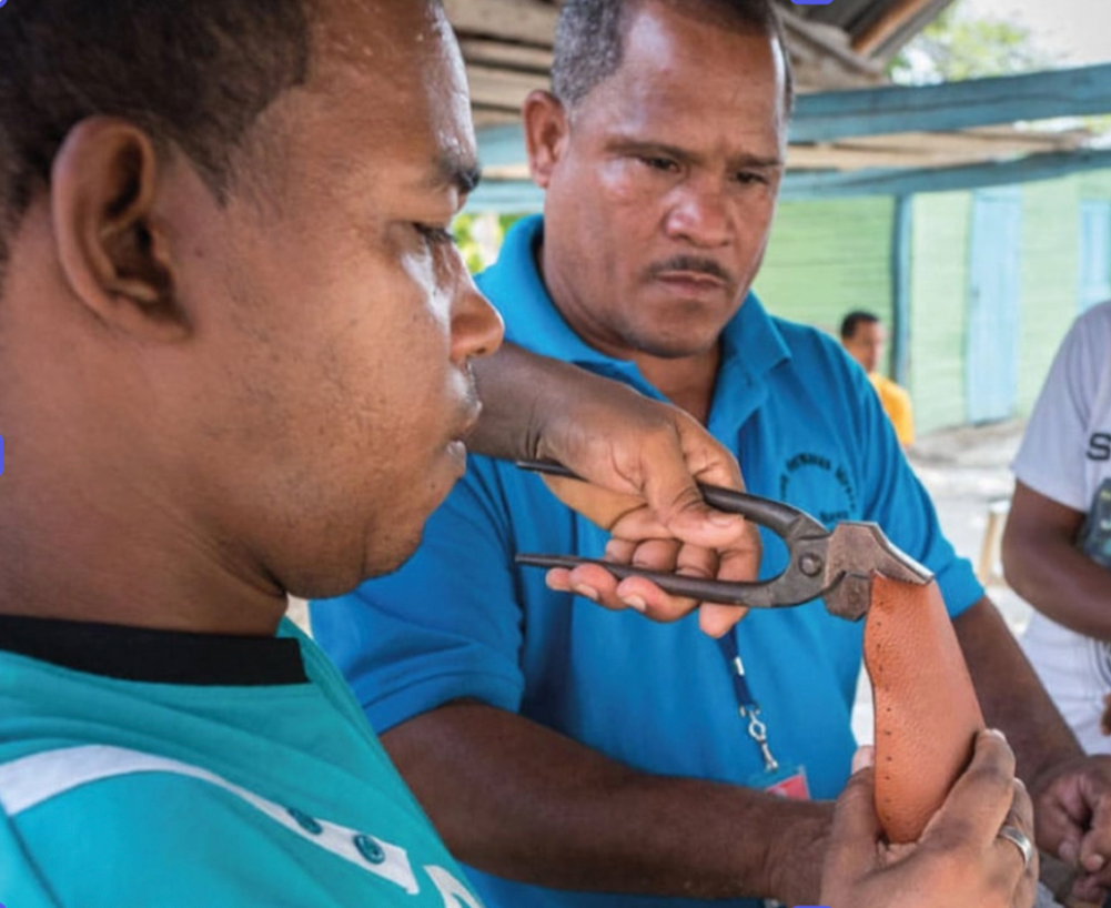 Captura-de-pantalla-2025-10-16-a-la(s)-15.24.13