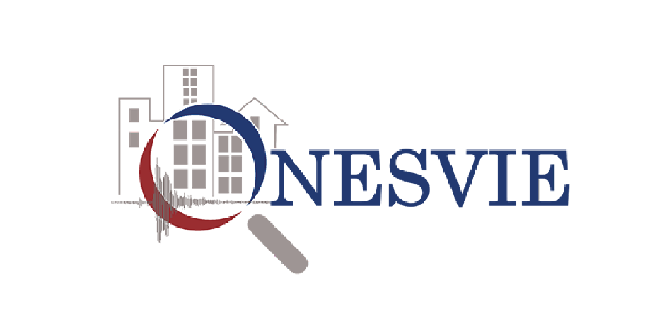 Onesvie